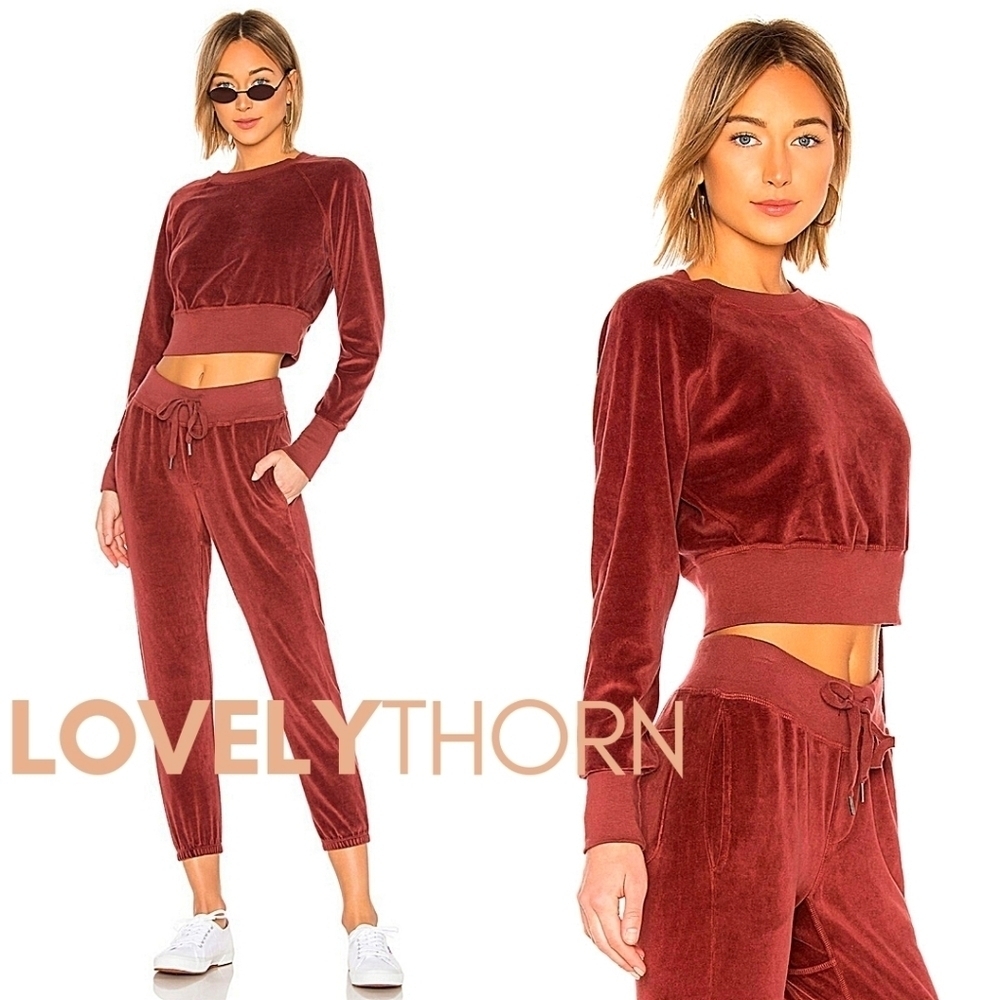 NSF // ltd ed parker rust mauve velour cropped crew neck long sleeved pullover